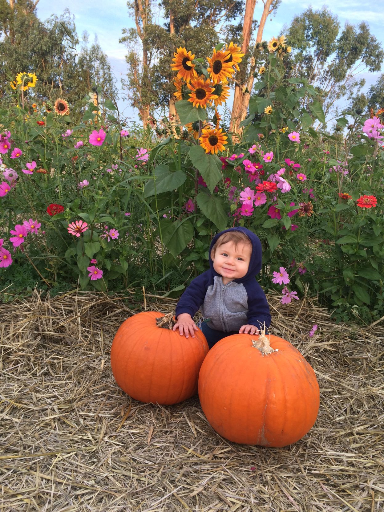 From Our Readers: Picking Pumpkins